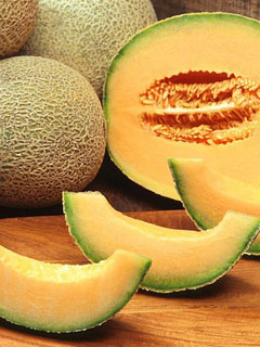 Cantaloupe