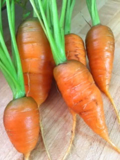 Carrots