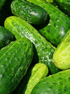 Cucumbers