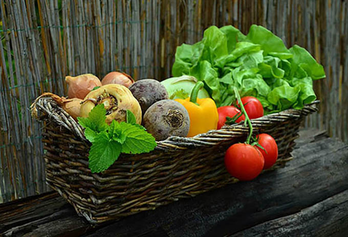 Veggie Basket